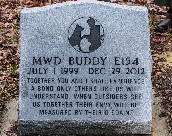 Buddy14.jpg