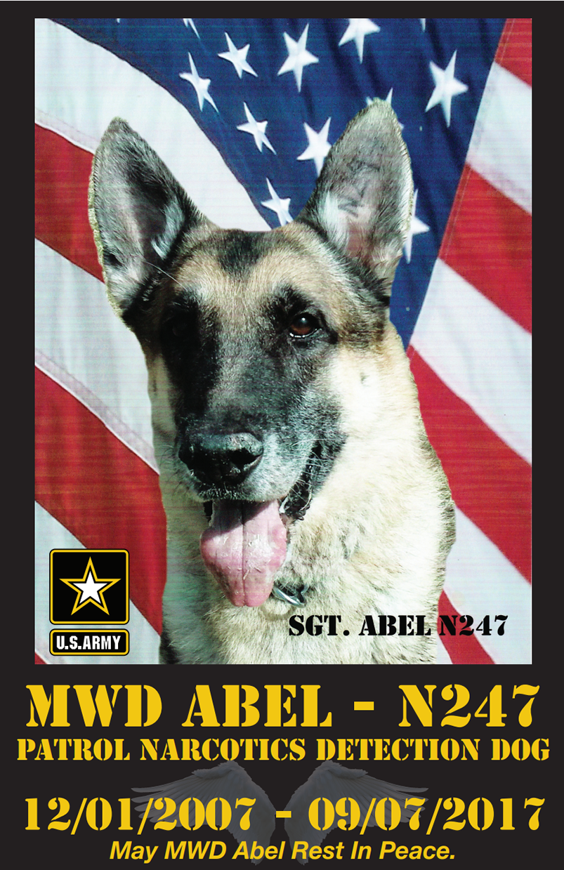 MWD Abel